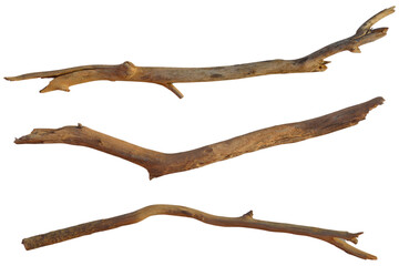 Realistic dry branches isolated on transparent background. Dead tree branch, old twig, PNG, Cut out © fatima