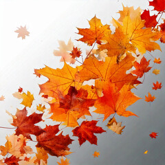 Fototapeta premium autumn maple leaf in isolated white background falling autumn leaves is highlighted on a white background: Generative AI. 