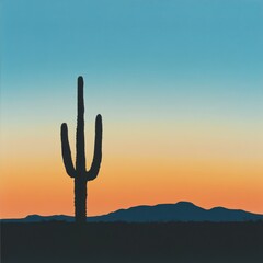 Saguaro cactus silhouette at sunset in the desert.
