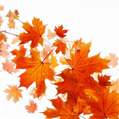 Fototapeta premium autumn maple leaf in isolated white background falling autumn leaves is highlighted on a white background: Generative AI. 