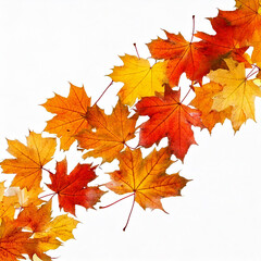 Fototapeta premium autumn maple leaf in isolated white background falling autumn leaves is highlighted on a white background: Generative AI. 