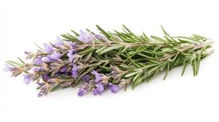 Naklejka premium Fresh rosemary sprigs with purple flowers arranged attractively on a white background for culinary and herbal use concept