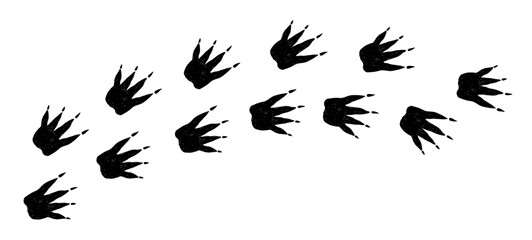 Dinosaur paw footprint with big claw in black color