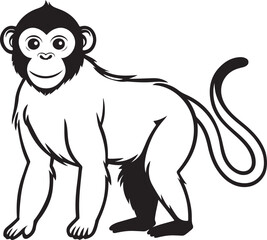 Monkey silhouette vector illustration, Monkey line art vector