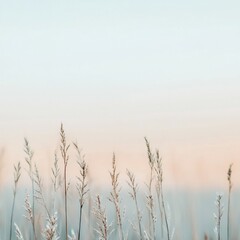 Delicate Wild Grasses Against a Soft Colorful Sky at Dusk