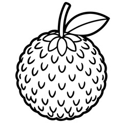 Lychee line art vector