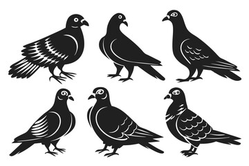 set of pigeons