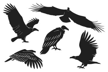 set of eagle vector illustration
