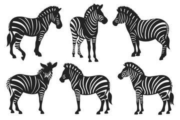 set of zebra vector illustration