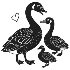 set of duck vector illustration