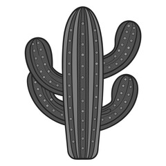 illustration of a cactus