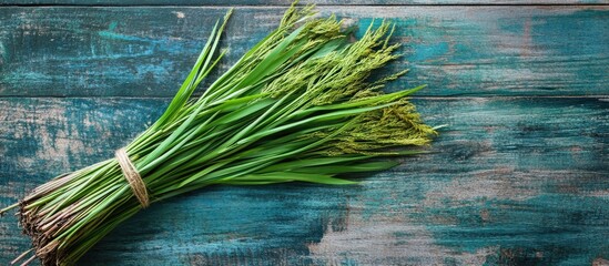 Palm Sunday Willow on textured wooden surface symbolizing vibrant holiday customs and community faith traditions.