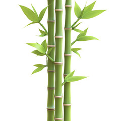 Naklejka premium [Transparent Background PNG]Green Bamboo Stalks with Lush Leaves