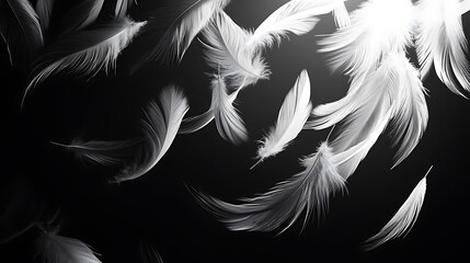 Fototapeta premium Beautiful color feathers on dark background