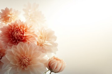 Soft peach dahlias bloom elegantly in warm light, creating a serene floral arrangement in a peaceful setting © c80