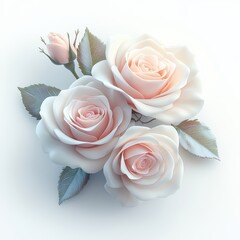 A serene arrangement of three pale pink roses with delicate leaves, set against a soft white background, embodying elegance and beauty.