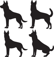 Belgian Malinois Dog Silhouette Vector Illustration Graphic
