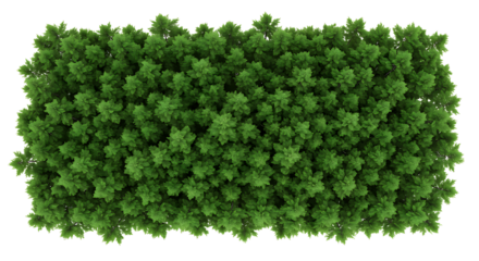 tree top view isolated on white background for landscape plan and architecture layout. elements for environment and garden