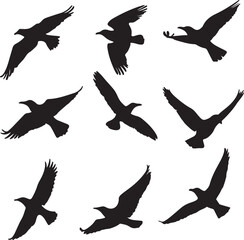 Birds in Flight Silhouette Set Vector Illustration Graphic
