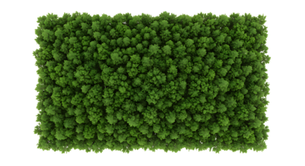 tree top view isolated on white background for landscape plan and architecture layout. elements for environment and garden