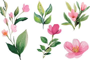 pattern with pink tulips