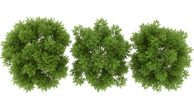 tree top view isolated on white background for landscape plan and architecture layout. elements for environment and garden