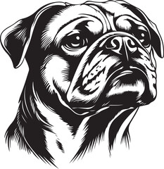 English Bulldog Stylized Silhouette Vector Illustration Graphic