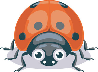 Fototapeta premium ladybug