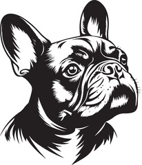 French Bulldog Head Stylized Silhouette Vector Illustration Graphic