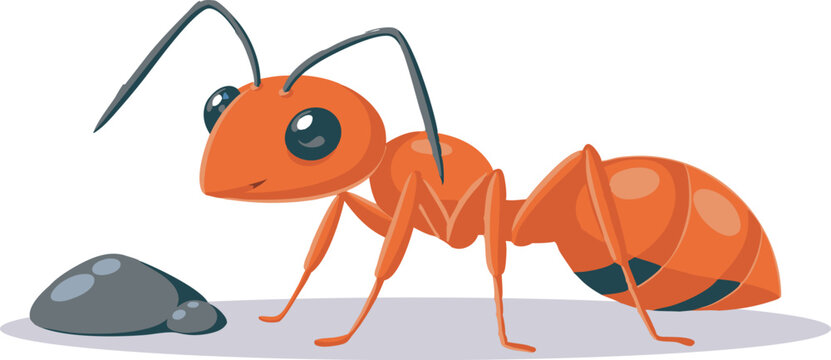 ant isolated on white background