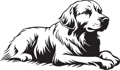 Golden Retriever Dog Lying Down Stylized Vector Illustration Graphic