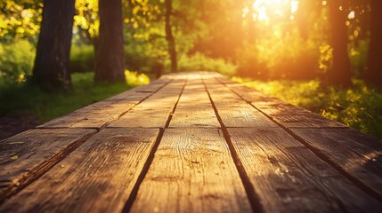 Fototapeta premium Wooden path in a sunlit forest