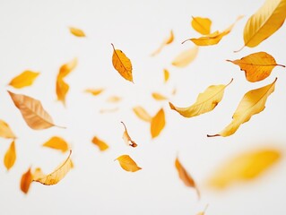 Yellow leaves in flight