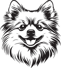 Pomeranian Dog Face Stylized Vector Illustration Graphic