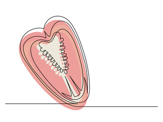 Continuous one line of sliced red bell pepper isolated on white background. Simple silhouette of vegetable. Hand drawn red bell pepper outline. Vector illustration