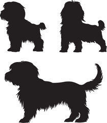Tibetan Terrier Dog Silhouette Set Vector Illustration Graphic