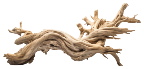 PNG Driftwood white background twisted branch.