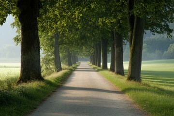 Obraz premium A tranquil path meanders through lush greenery, flanked by towering trees softly swaying in the breeze. Ideal for leisurely walks, this tranquil setting radiates natural beauty celebrating Earth Day