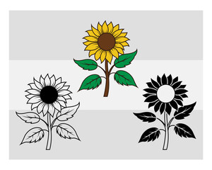 Sunflower SVG Silhouette Bundle, Sunflower Silhouette, Flower Svg, Floral Svg, Summer Flower Svg, Sunflower Png, Sunflower Svg Images, Cut Files