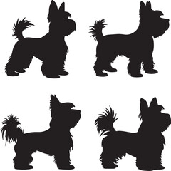 Yorkshire Terrier Dog Silhouette Set Vector Illustration Graphic