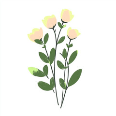 Fototapeta premium Cute minimalistic plant illustration on white background, vector style