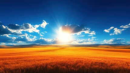 Fototapeta premium Sunlight spreads over golden wheat fields, illuminating the landscape against a blue sky