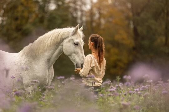 A young woman cuddle and interact with her white spanish horese on a wildflower field in autumn outdoors