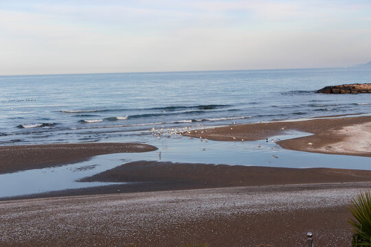 beach