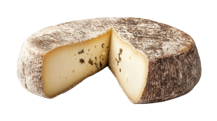 Cheese isolated on white transparent background