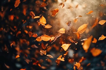 Autumn Leaves Flying