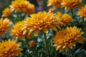 bunch of yellow flowers