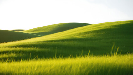 green grassland landscape isolated on white