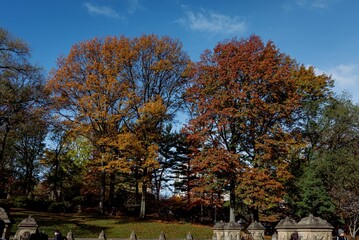 Naklejka premium autumn in the park