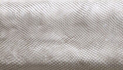 natural snake skin as a background white snakeskin texture